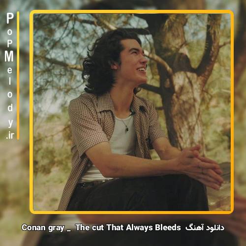 دانلود آهنگ Conan Gray The Cut That Always Bleeds